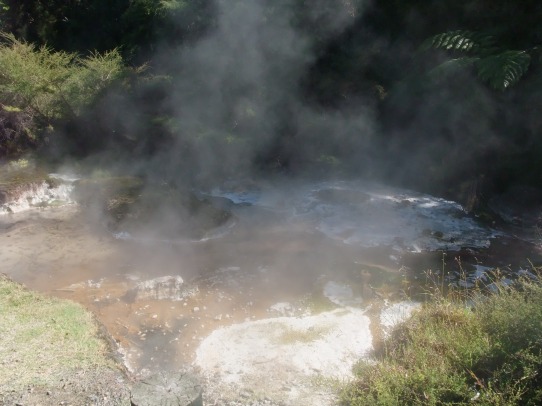 Steaming, gurgling stream